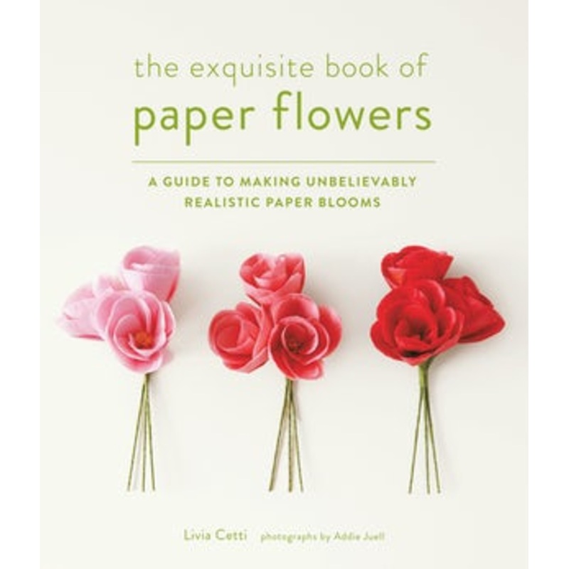 The Exquisite Book of Paper Flowers