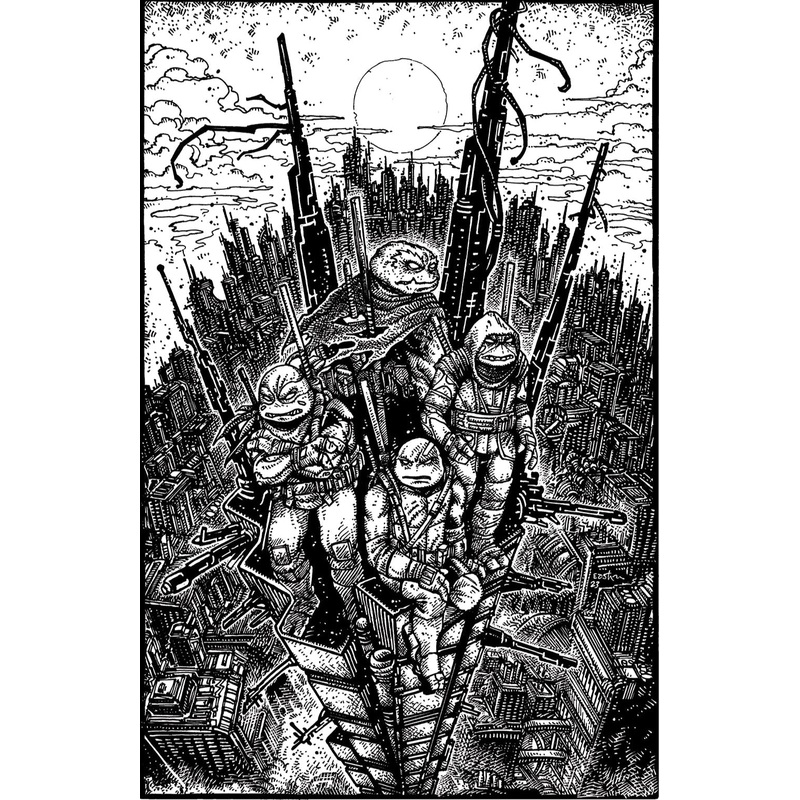 Teenage Mutant Ninja Turtles Re-Evolution B&W Litho Physical N/A