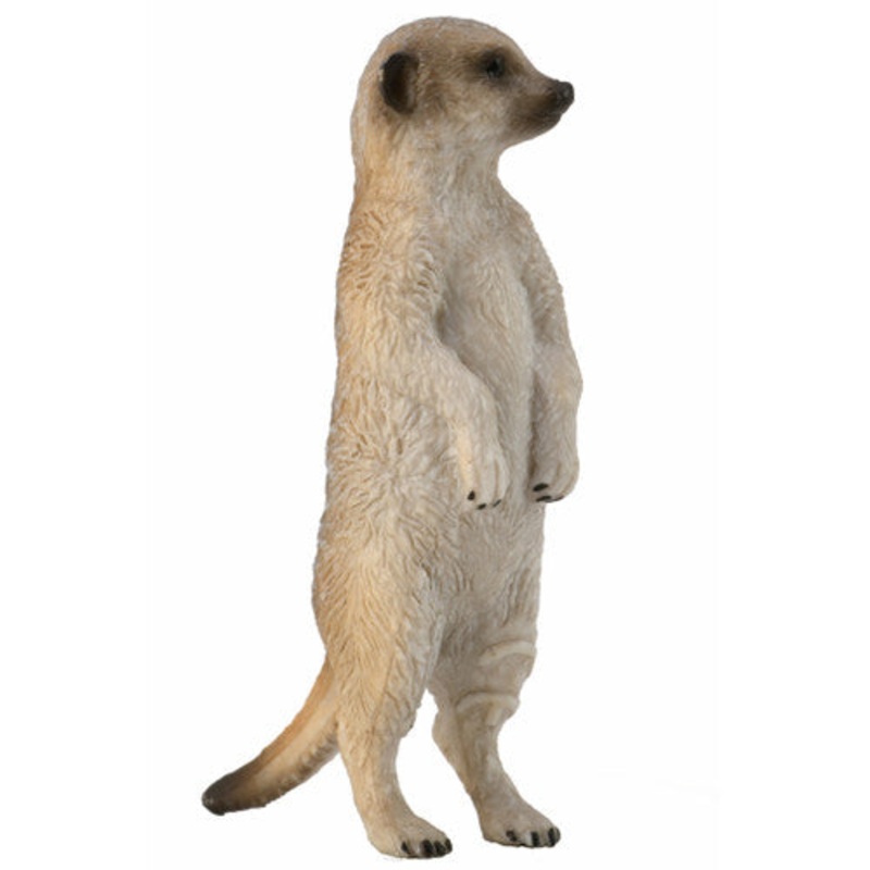 Collecta Meerkat (S)