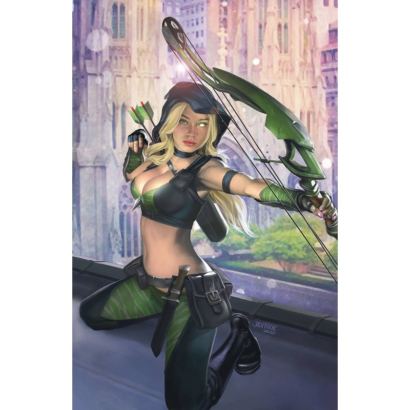 ROBYN HOOD JUSTICE #1 CVR C BURNS  Duncanville Bookstore Comics Toys and Collectibles