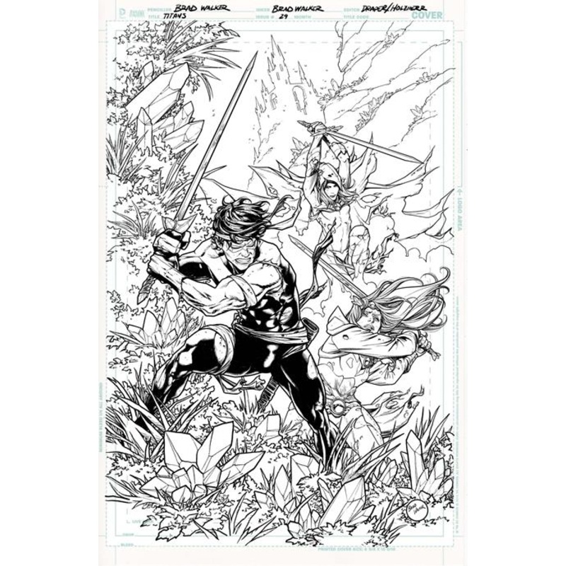 TITANS #29 CVR B BRAD WALKER CARD STOCK VAR (DC K.O.)