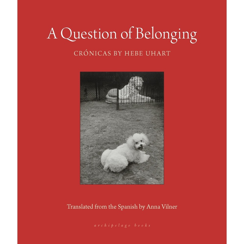 A Question of Belonging Paperback
