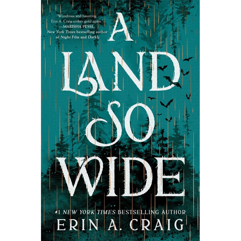 A Land So Wide Knopf Doubleday Publishing Group Comic Book 2025