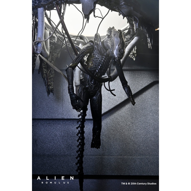 Alien: Romulus – Deluxe Suspended Lab Xenomorph XX121 7″ Scale Action Figure