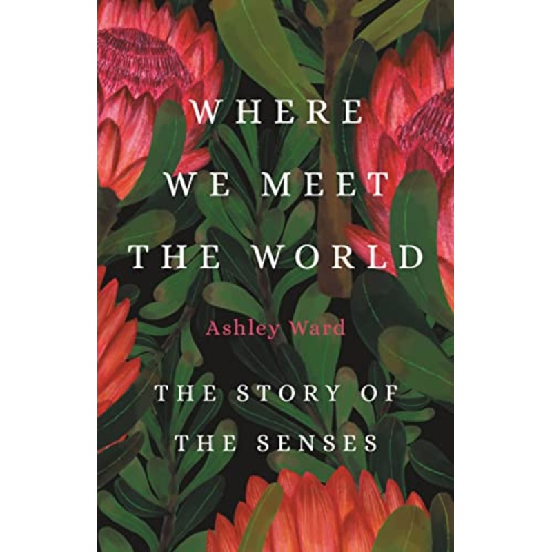 Where We Meet the World: The Story of the Senses