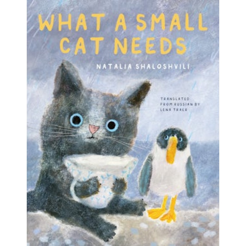 What a Small Cat Needs